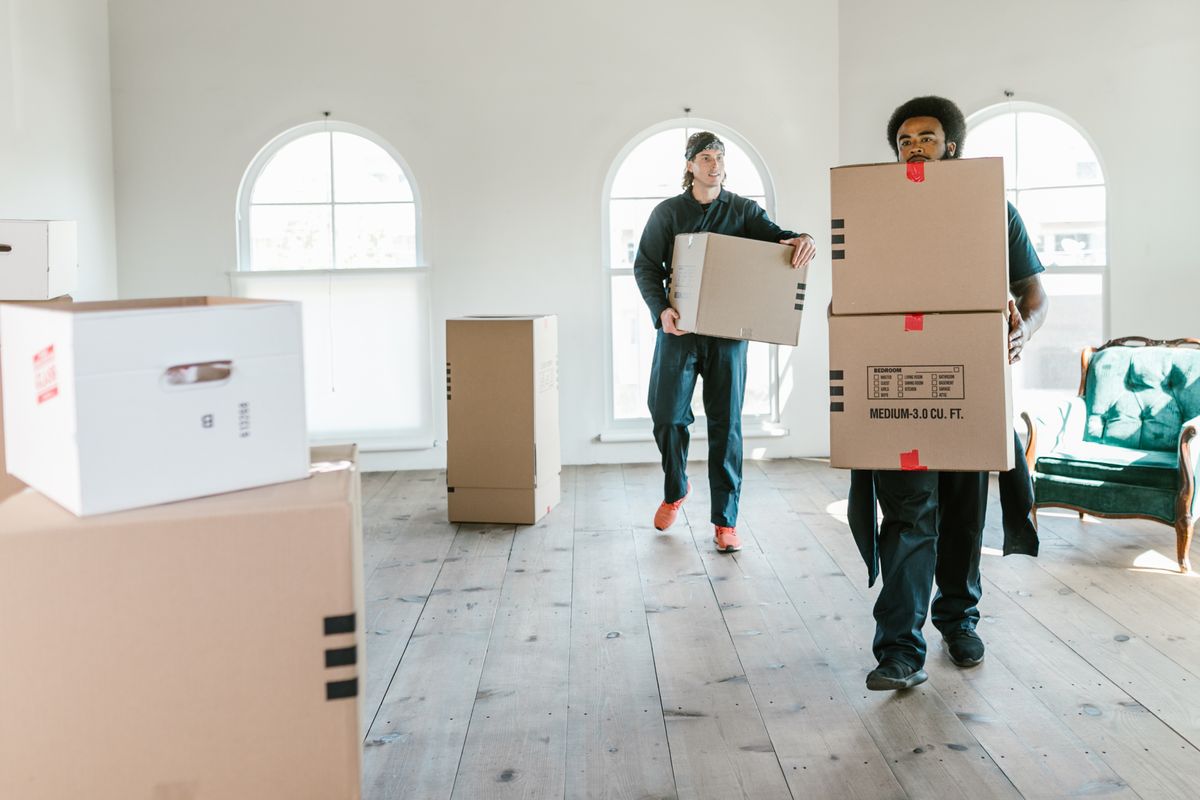 Lakvi movers carefully carrying packed boxes
